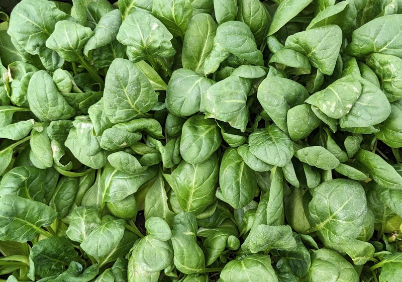 3-PXL_20240222_181824761~2