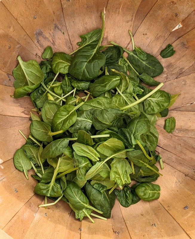 4-PXL_20240222_181842152~2