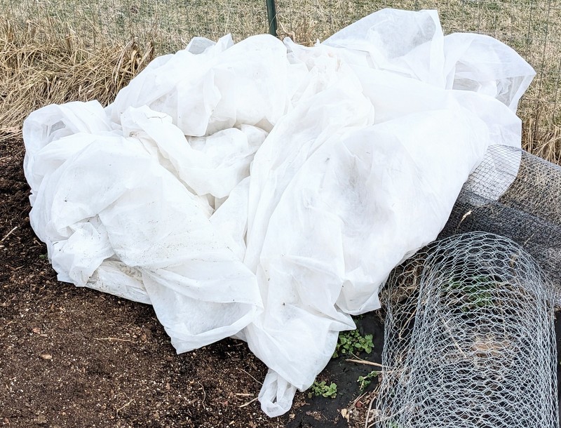 5-PXL_20240222_181848685~2