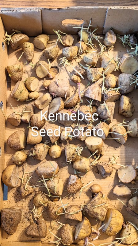 1-PXL_20240311_170824004.MP~2