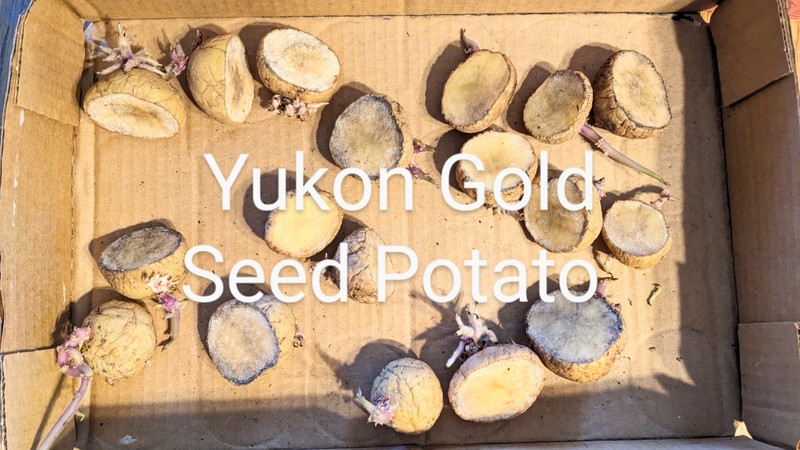 2-PXL_20240311_170809920~2